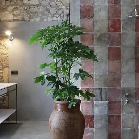 Isonzo Guest house
